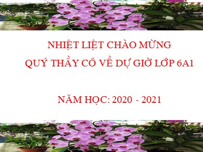 Bài giảng Số học Lớp 6 - Bài 13: Ước và bội - Năm học 2020-2021