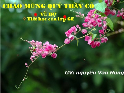 Bài giảng Số học Lớp 6 - Bài 6: Tính chất của phép cộng các số nguyên - Nguyễn Văn Hùng