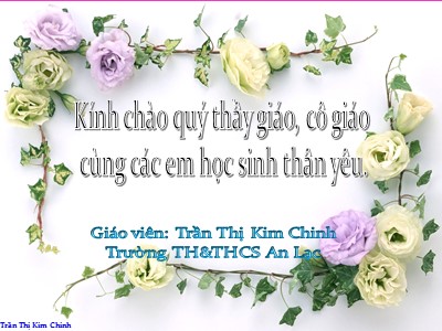 Bài giảng Số học Lớp 6 - Tiết 26: Phân tích một số ra thừa số nguyên tố - Trần Thị Kim Chinh