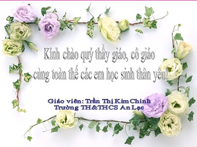 Bài giảng Số học Lớp 6 - Tiết 42: Thứ tự trong tập hợp các số nguyên