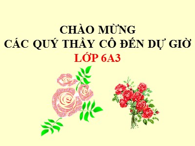 Bài giảng Số học Lớp 6 - Tiết 81: Luyện tập