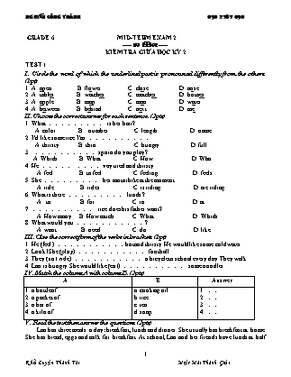 Đề kiểm tra giữa học kỳ II môn Tiếng Anh Lớp 6 - Nguyễn Công Thành