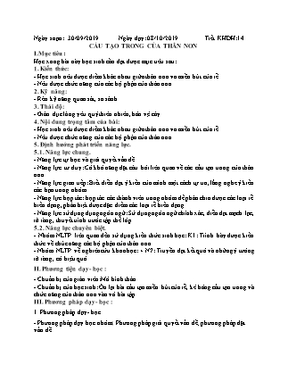 Giáo án Sinh học Lớp 6 - Bài 15: Cấu tạo trong của thân non - Năm học 2019-2020