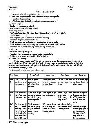 Giáo án Sinh học Lớp 6 - Chủ đề: Rễ cây