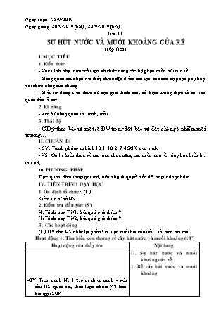 Giáo án Sinh học Lớp 6 - Tiết 11: Sự hút nước và muối khoáng của rễ - Năm học 2019-2020