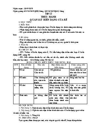 Giáo án Sinh học Lớp 6 - Tiết 12: Thực hành quan sát biến dạng của rễ - Năm học 2019-2020