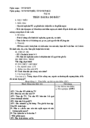 Giáo án Sinh học Lớp 6 - Tiết 16: Thân dài ra do đâu? - Năm học 2019-2020