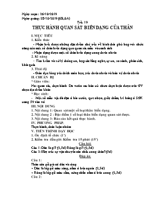 Giáo án Sinh học Lớp 6 - Tiết 19: Thực hành quan sát biến dạng của thân - Năm học 2019-2020