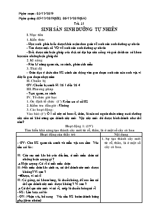 Giáo án Sinh học Lớp 6 - Tiết 31: Sinh sản sinh dưỡng tự nhiên - Năm học 2019-2020