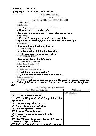 Giáo án Sinh học Lớp 6 - Tiết 8: Các loại rễ, các miền của rễ - Năm học 2019-2020