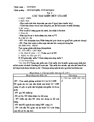 Giáo án Sinh học Lớp 6 - Tiết 9: Cấu tạo miền hút của rễ - Năm học 2019-2020