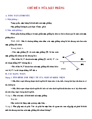 Giáo án Hình học Lớp 6 - Chủ đề 8: Nửa mặt phẳng