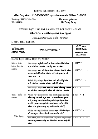 Giáo án Sinh học Lớp 6 - Tiết 49, Bài 42: Lớp hai lá mầm và lớp một lá mầm