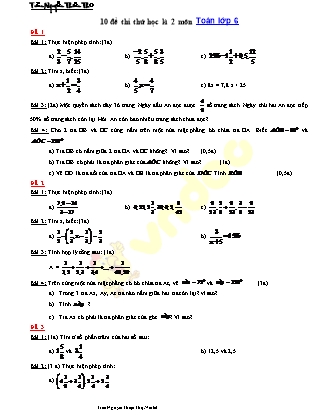 10 đề thi thử học kì 2 môn Toán lớp 6 - Trần Nguyễn Thiện Thọ