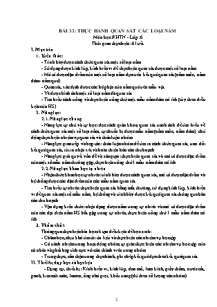 Giáo án Khoa học tự nhiên Lớp 6 (Bộ sách Kết nối tri thức và cuộc sống) - Chương 7 - Bài 33: Thực hành quan sát các loại nấm