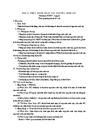 Giáo án Khoa học tự nhiên Lớp 6 (Bộ sách Kết nối tri thức và cuộc sống) - Chương 7 - Bài 31: Thực hành quan sát nguyên sinh vật