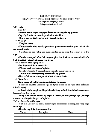 Giáo án Khoa học tự nhiên Lớp 6 (Bộ sách Kết nối tri thức và cuộc sống) - Chương 7 - Bài 35: Thực hành quan sát và phân biệt một số nhóm thực vật