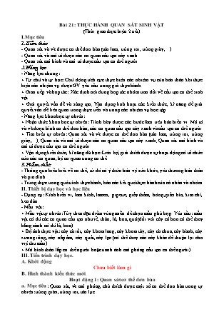 Giáo án Sinh học Lớp 6 (Bộ sách Chân trời sáng tạo) - Bài 21: Thực hành quan sát sinh vật