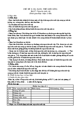 Giáo án Sinh học Lớp 6 (Bộ sách Chân trời sáng tạo) - Bài 27: Nguyên sinh vật