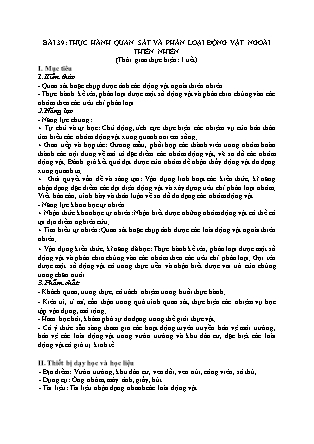 Giáo án Sinh học Lớp 6 (Bộ sách Chân trời sáng tạo) - Bài 39: Thực hành quan sát và phân loại động vật ngoài thiên nhiên