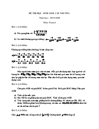 Bài thi Học sinh giỏi cấp trường môn Toán Lớp 6 - Năm học 2019-2020 (Có lời giải)
