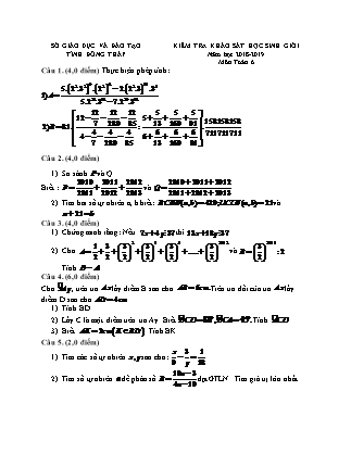 Đề kiểm tra khảo sát Học sinh giỏi môn Toán Lớp 6 - Năm học 2018-2019 - Phòng Giáo dục và đào tạo tỉnh Đồng Tháp (Có đáp án)