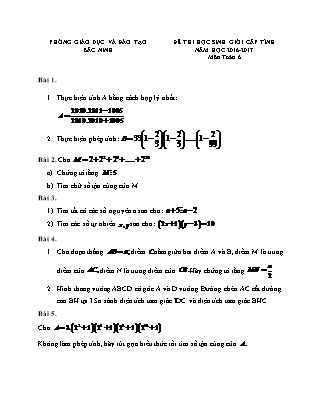 Đề thi Học sinh giỏi cấp tỉnh môn Toán Lớp 6 - Năm học 2016-2017 - Phòng Giáo dục và đào tạo Bắc Ninh (Có đáp án)