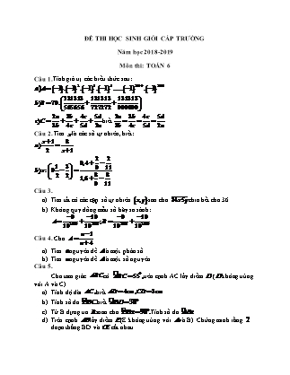 Đề thi Học sinh giỏi cấp trường môn Toán Khối 6 - Năm học 2018-2019 (Có đáp án)