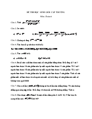 Đề thi Học sinh giỏi cấp trường môn Toán Lớp 6 (Có đáp án chi tiết)