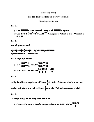 Đề thi học sinh giỏi cấp trường môn Toán Lớp 6 - Năm học 2018-2019 - Trường THCS Mỹ Hưng (Có đáp án)