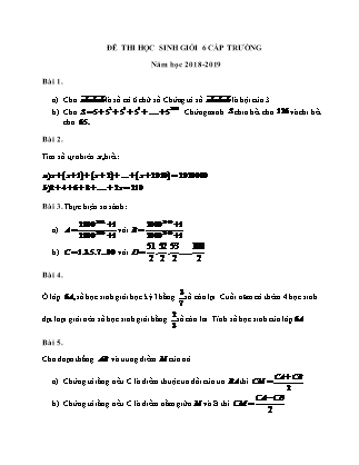 Đề thi Học sinh giỏi cấp trường Toán Khối 6 - Năm học 2018-2019 (Có đáp án)