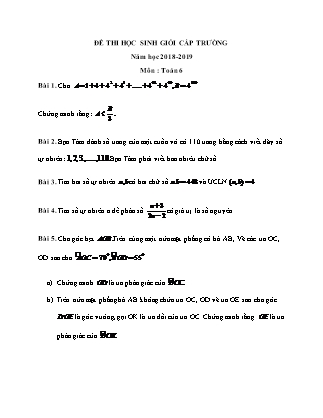 Đề thi Học sinh giỏi cấp trường Toán Lớp 6 - Năm học 2018-2019 (Có đáp án)