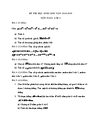 Đề thi học sinh giỏi môn Toán 6 - Năm học 2018-2019 (Có đáp án)