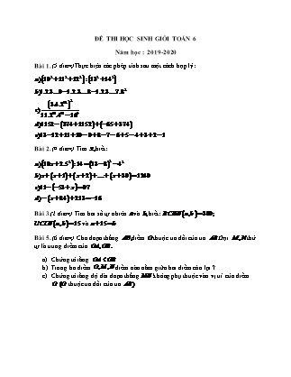 Đề thi Học sinh giỏi môn Toán Khối 6 - Năm học 2019-2020 (Có lời giải chi tiết
