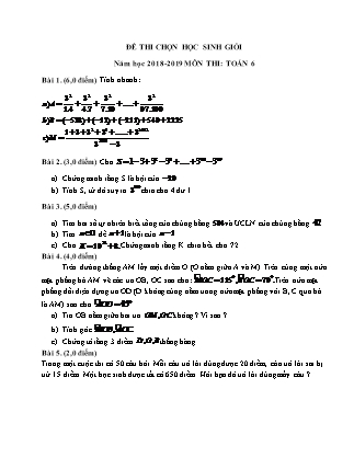 Đề thi Học sinh giỏi môn Toán Lớp 6 - Năm học 2018-2019 (Có đáp án chi tiết)