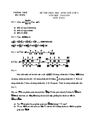 Đề thi Học sinh giỏi môn Toán Lớp 6 - Năm học 2018-2019 - Trường THCS Bắc Nghĩa (Có đáp án)