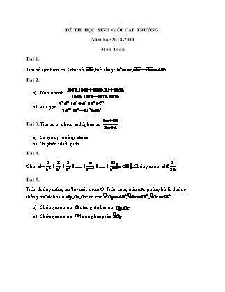 Đề thi Học sinh giỏi Toán học Lớp 6 - Năm học 2018-2019 (Có đáp án)
