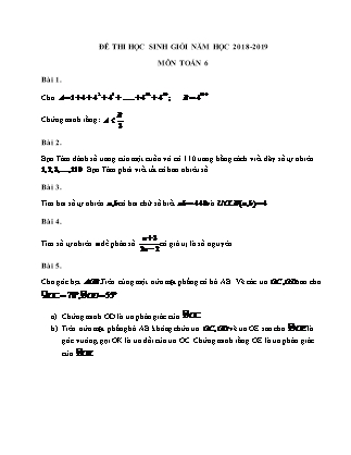 Đề thi Học sinh giỏi Toán Lớp 6 - Năm học 2018-2019 (Có đáp án chi tiết)