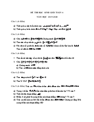 Đề thi học sinh giỏi Toán Lớp 6 - Năm học 2019-2020 (Có đáp án)