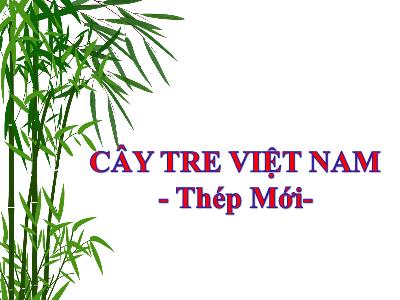 Bài giảng Ngữ văn Lớp 6 (Kết nối tri thức) - Bài 4: Văn bản Cây tre Việt Nam