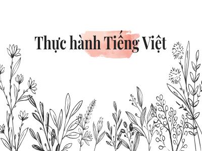 Bài giảng Ngữ văn Lớp 6 - Thực hành Tiếng Việt