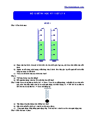 12 Đề thi học kì 1 môn Vật lí Lớp 6