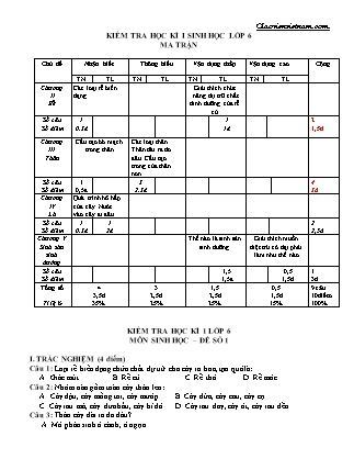 Bộ Đề thi học kì 1 môn Sinh học Lớp 6 (Có đáp án) - Năm học 2019-2020