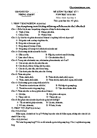 Đề kiểm tra học kì I môn Sinh học Lớp 6 (Có đáp án) - Năm học 2020-2021
