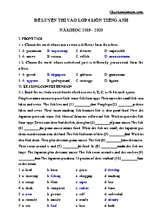 Đề luyện thi vào Lớp 6 môn Tiếng Anh - Năm học 2019-2020