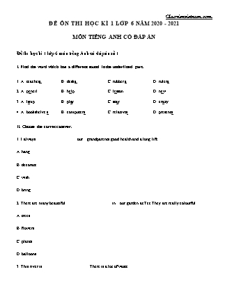 Đề ôn thi học kì 1 Lớp 6 môn Tiếng Anh - năm 2020-2021