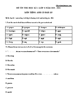 Đề ôn thi học kì 1 Lớp 6 môn Tiếng Anh - Năm học 2020-2021