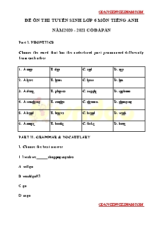 Đề ôn thi tuyển sinh Lớp 6 môn Tiếng Anh - Năm 2020-2021
