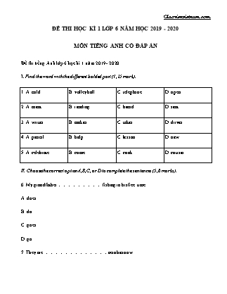 Đề thi học kì 1 Lớp 6 môn Tiếng Anh chương trình mới (Có đáp án) - Năm học 2019-2020