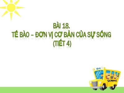 Bài giảng KNTN Lớp 6 - Bài 18: Tế bào - Đơn vị cơ bản của sự sống (Tiết 4)